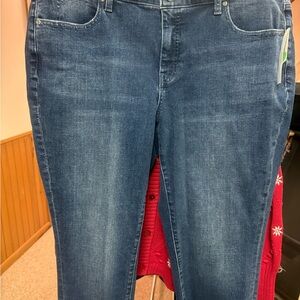 Talbots Women's Blue Skinny Jeans